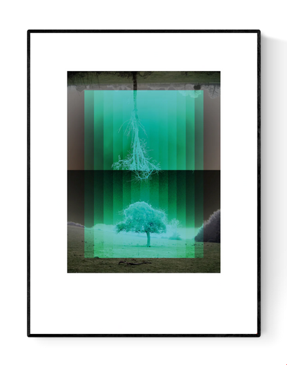 Nordic-inspired art print Träd by Studio Frits – a minimalist digital artwork by Belgian illustrator Gert Paenen featuring mirrored trees in green gradients, symbolizing nature, reflection, and Scandinavian calm. Perfect wall art for modern, nature-inspired homes in Belgium, the Netherlands, France, and Germany.