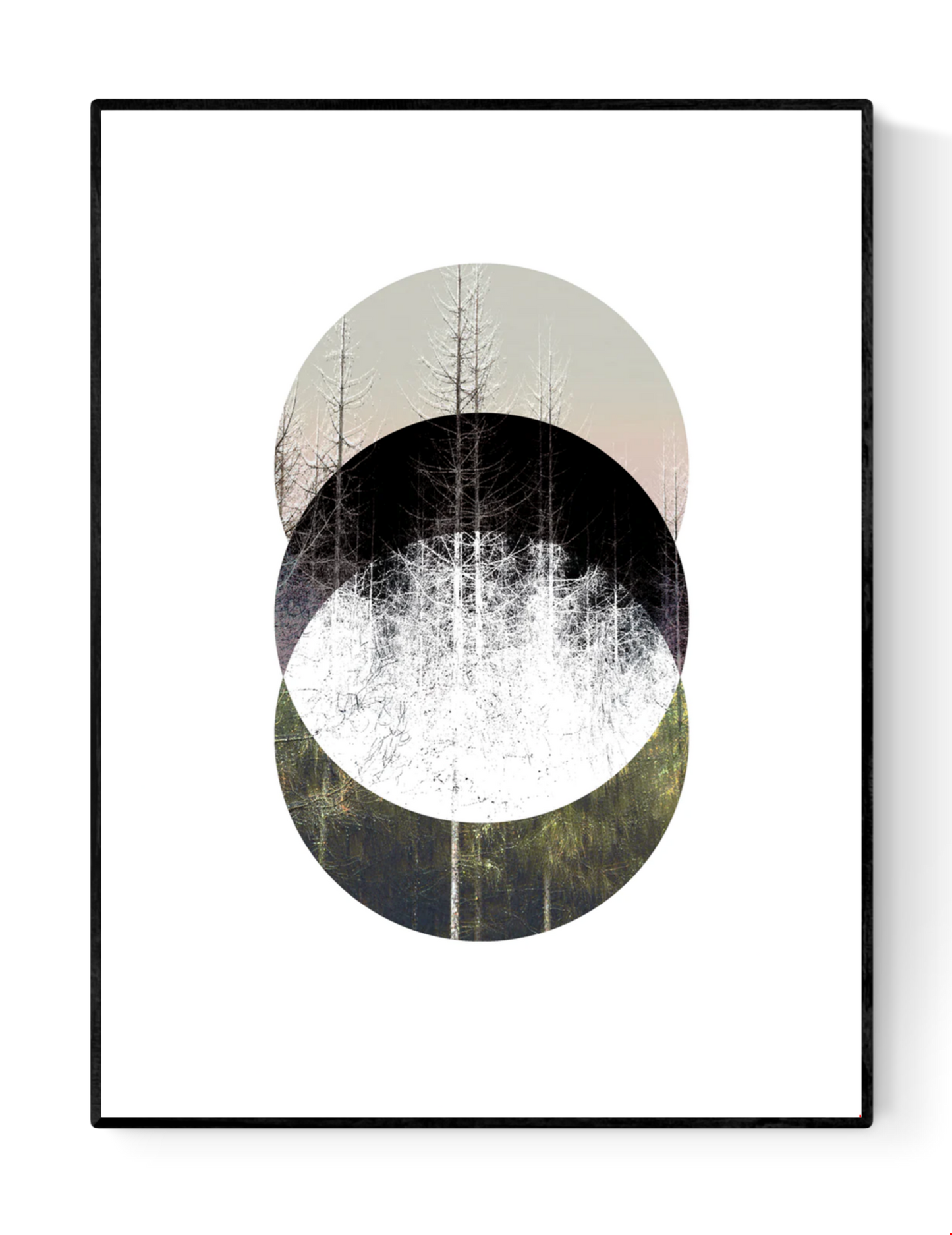 Minimalist Nordic forest art print titled Barrträd by Studio Frits — serene digital collage of pine trees in layered circular compositions, inspired by Swedish nature and Scandinavian design. Perfect wall art for modern interiors in Belgium, the Netherlands, France, and Germany.