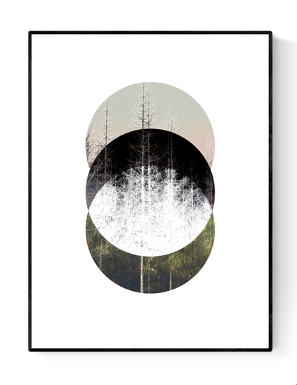 Minimalist Nordic forest art print titled Barrträd by Studio Frits — serene digital collage of pine trees in layered circular compositions, inspired by Swedish nature and Scandinavian design. Perfect wall art for modern interiors in Belgium, the Netherlands, France, and Germany.