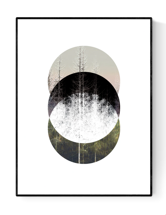 Minimalist Nordic forest art print titled Barrträd by Studio Frits — serene digital collage of pine trees in layered circular compositions, inspired by Swedish nature and Scandinavian design. Perfect wall art for modern interiors in Belgium, the Netherlands, France, and Germany.