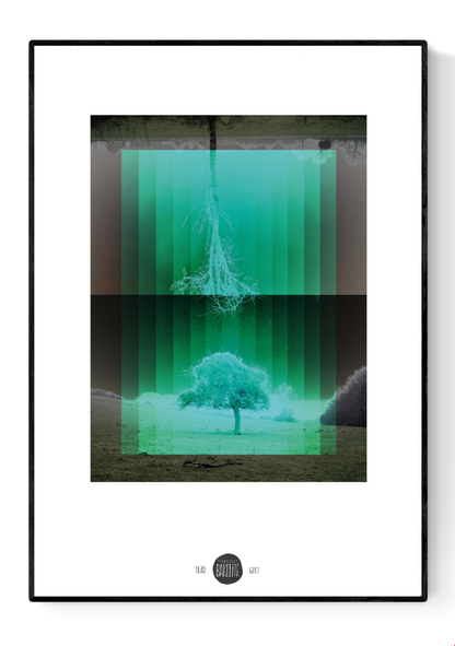 Nordic-inspired art print Träd by Studio Frits – a minimalist digital artwork by Belgian illustrator Gert Paenen featuring mirrored trees in green gradients, symbolizing nature, reflection, and Scandinavian calm. Perfect wall art for modern, nature-inspired homes in Belgium, the Netherlands, France, and Germany.