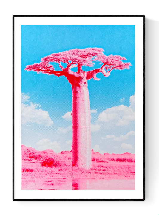 Fluor pink and blue silkscreen art print of a Baobab tree by PTRVRKD, modern handmade A2 screen print on 250 gsm paper, limited edition of 25.