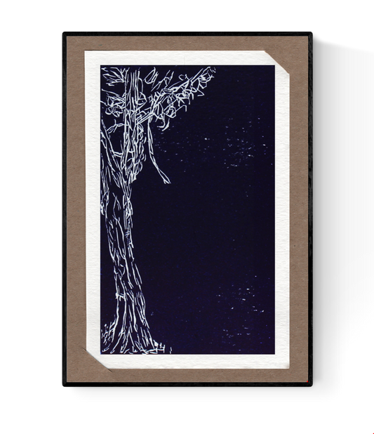 Hand-printed linocut card by Belgian illustrator Ilia Claus, showing a tree in white ink on black background. Unique art card, includes envelope and passe-partout.