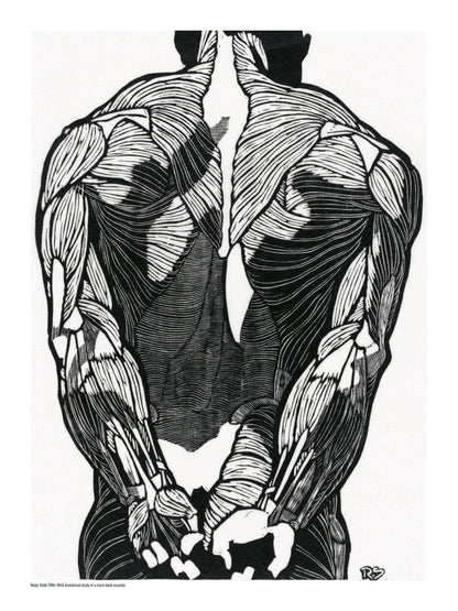 Black and white anatomical study of a man's back muscles by Reijer Stolk, featuring bold graphic linework and strong contrast in a vertical format, ideal as distinctive wall art for a modern office, studio or home.