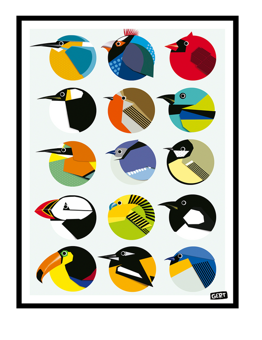 Circle Birds by Gert Paenen, colorful geometric bird illustration art print featuring 15 stylized birds inside circular compositions, modern graphic wall art print for contemporary interiors and design lovers