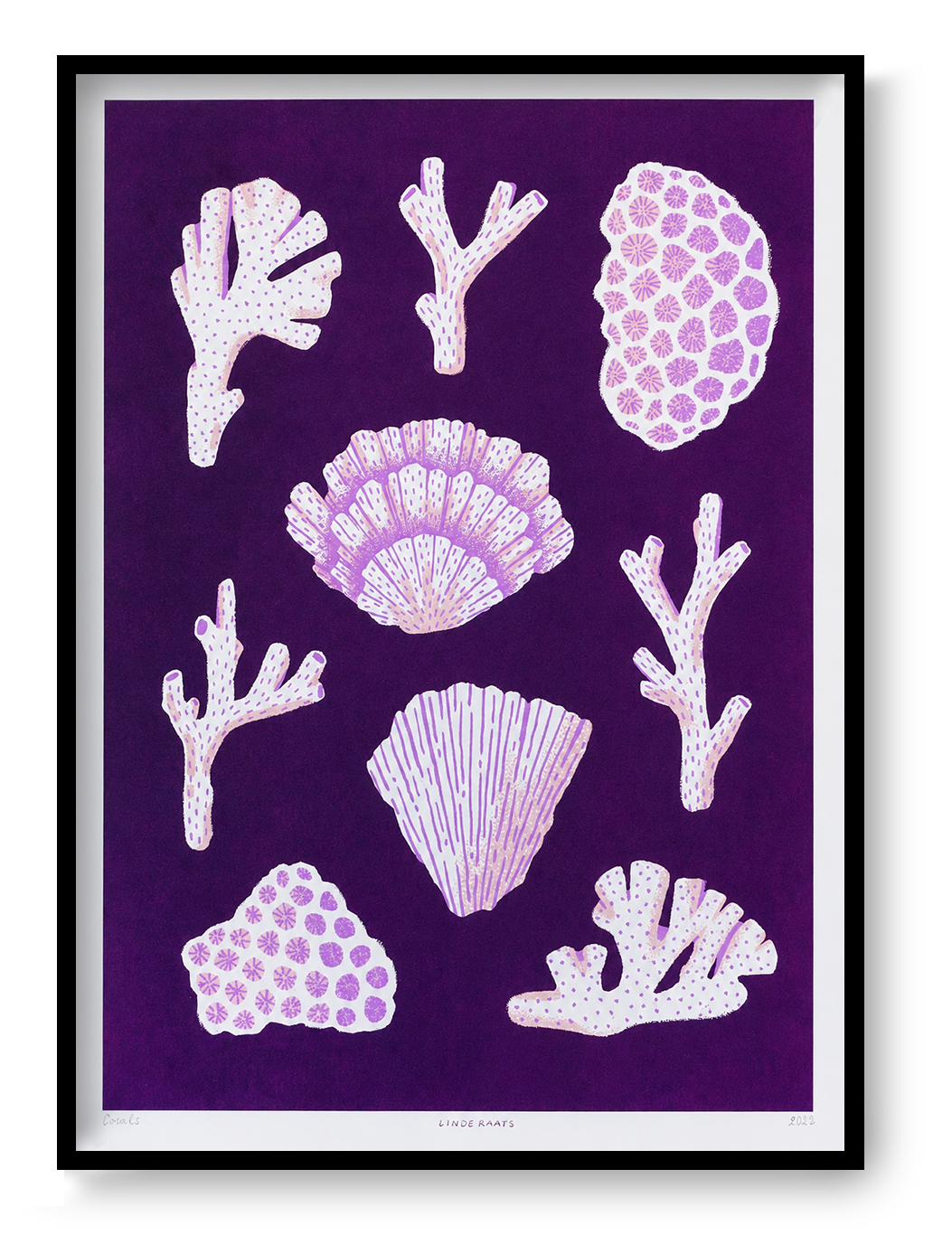 Corals