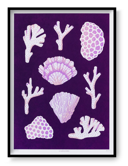 Corals