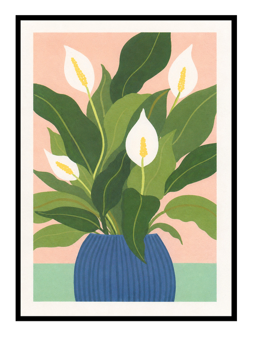 Peace Lilly botanical art print by Leen De Pelseneer featuring white peace lily flowers and large green leaves in a blue vase on a soft pink background, contemporary A4 digital wall art print.