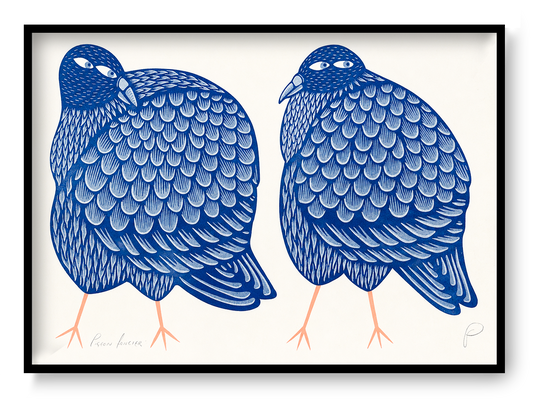 Two plump pigeons illustrated in deep blue and pale blue with peach legs, detailed patterned feathers and playful expressions, horizontal A3 risograph wall art for colourful modern interiors.