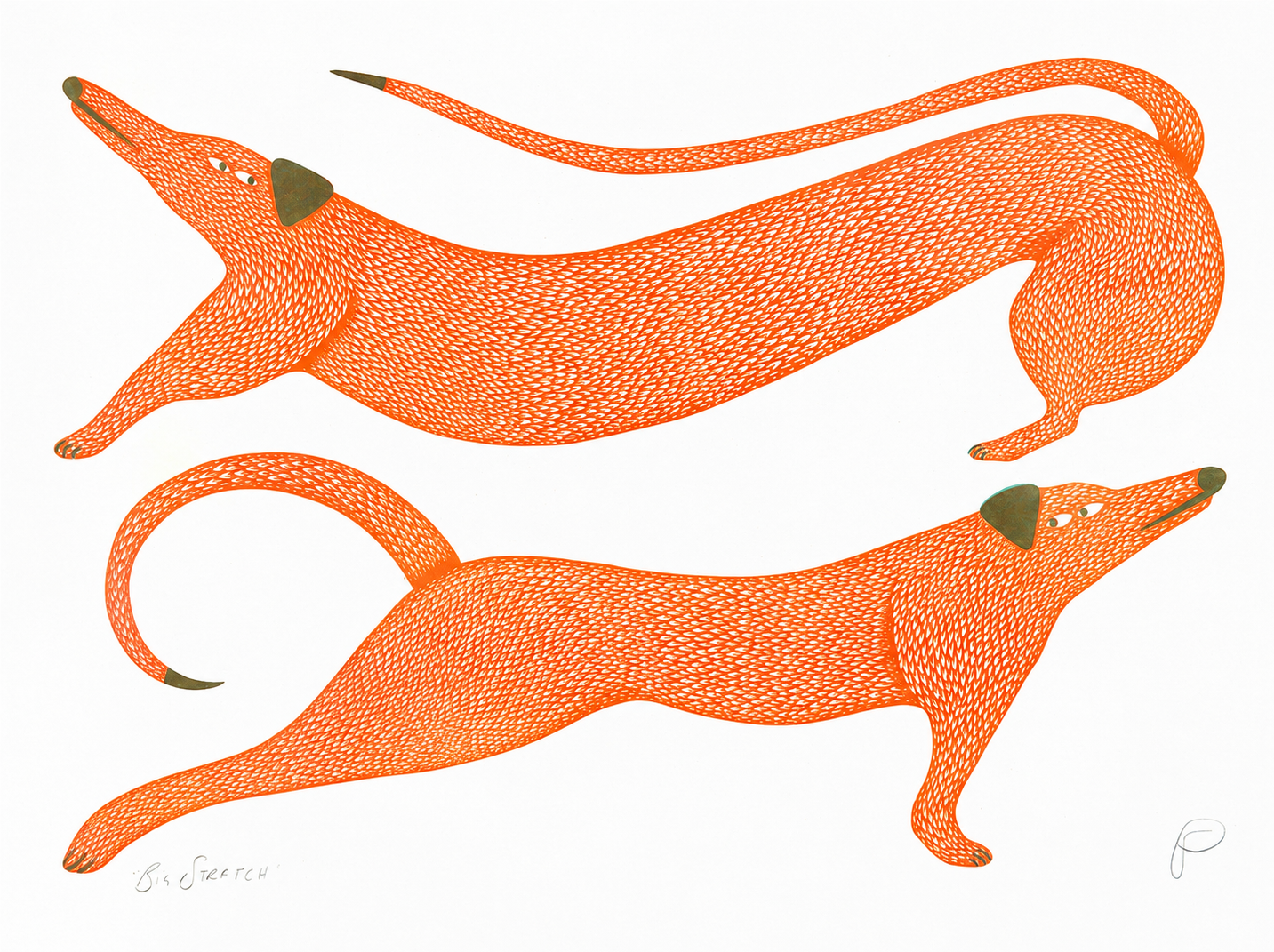 Big Stretch by Strangford, horizontal risograph art print showing two elongated orange dogs with olive details on white, playful contemporary wall art for colourful interiors.