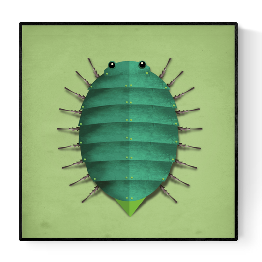 buy insect illustration artprint by Studio Frits