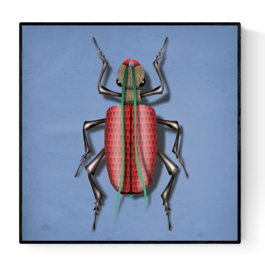 buy insect illustration artprint by Studio Frits