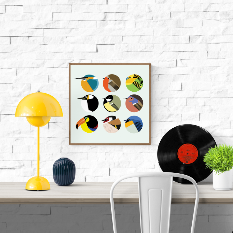 buy colorful rounded birds illustration by Studio Frits