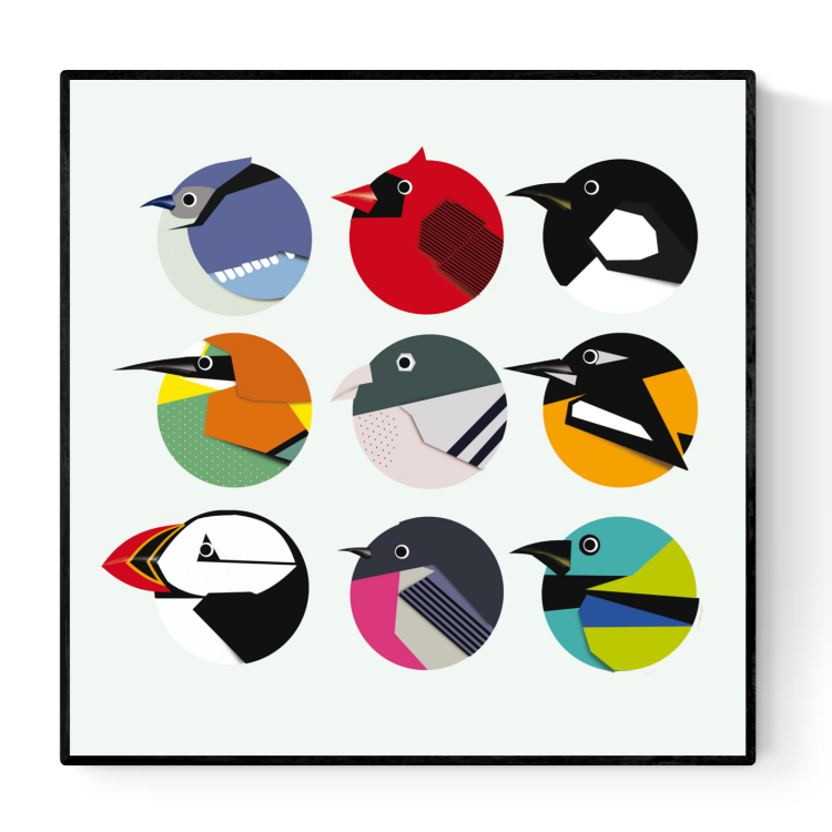 buy colorful rounded birds illustration by Studio Frits