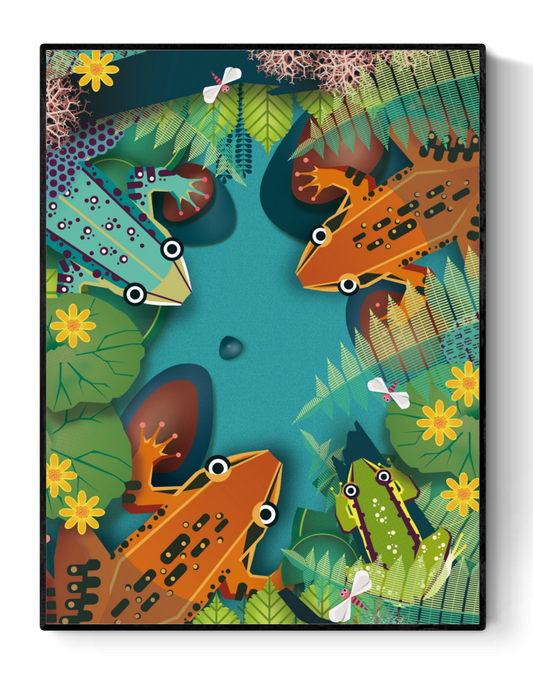 buy frogs at the creek illustration by Studio Frits