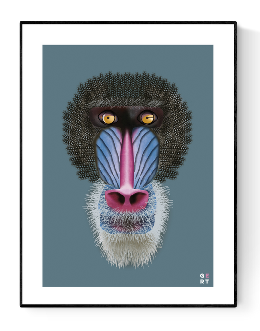 buy illustration with a mandrill by Studio Frits