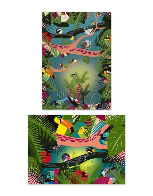 buy circle birds jungle postcard illustrations