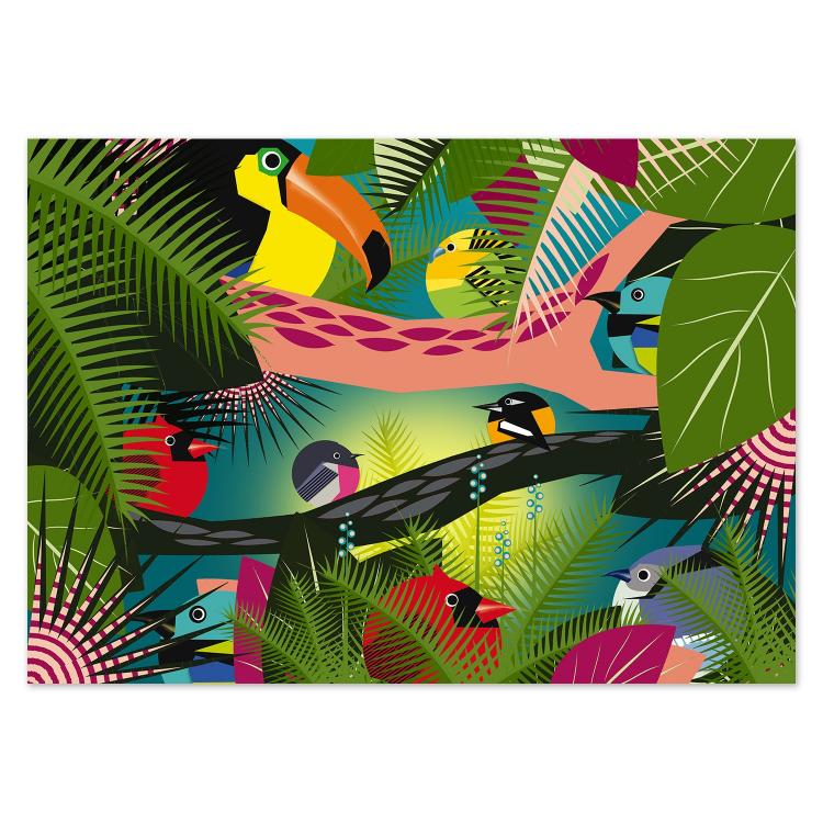 buy circle birds jungle postcard illustrations