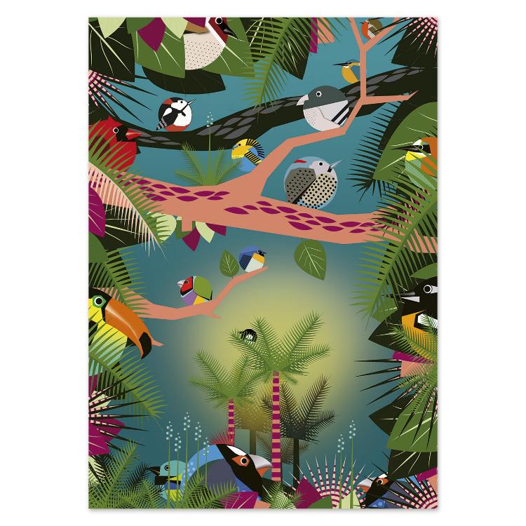 buy circle birds jungle postcard illustrations