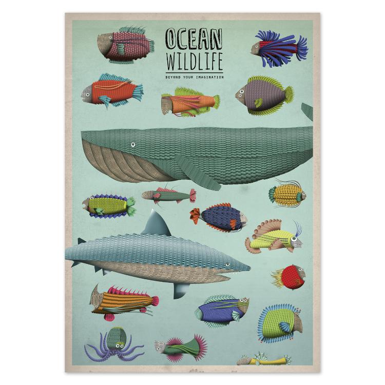 buy ocean wilflife fish postcard illustration