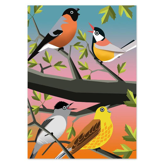 buy spring bird postcard illustration