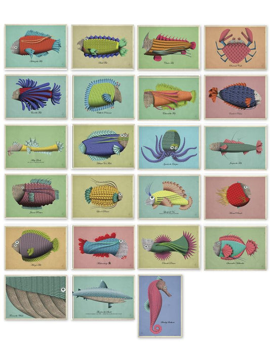 buy postcards with illustrations of fish