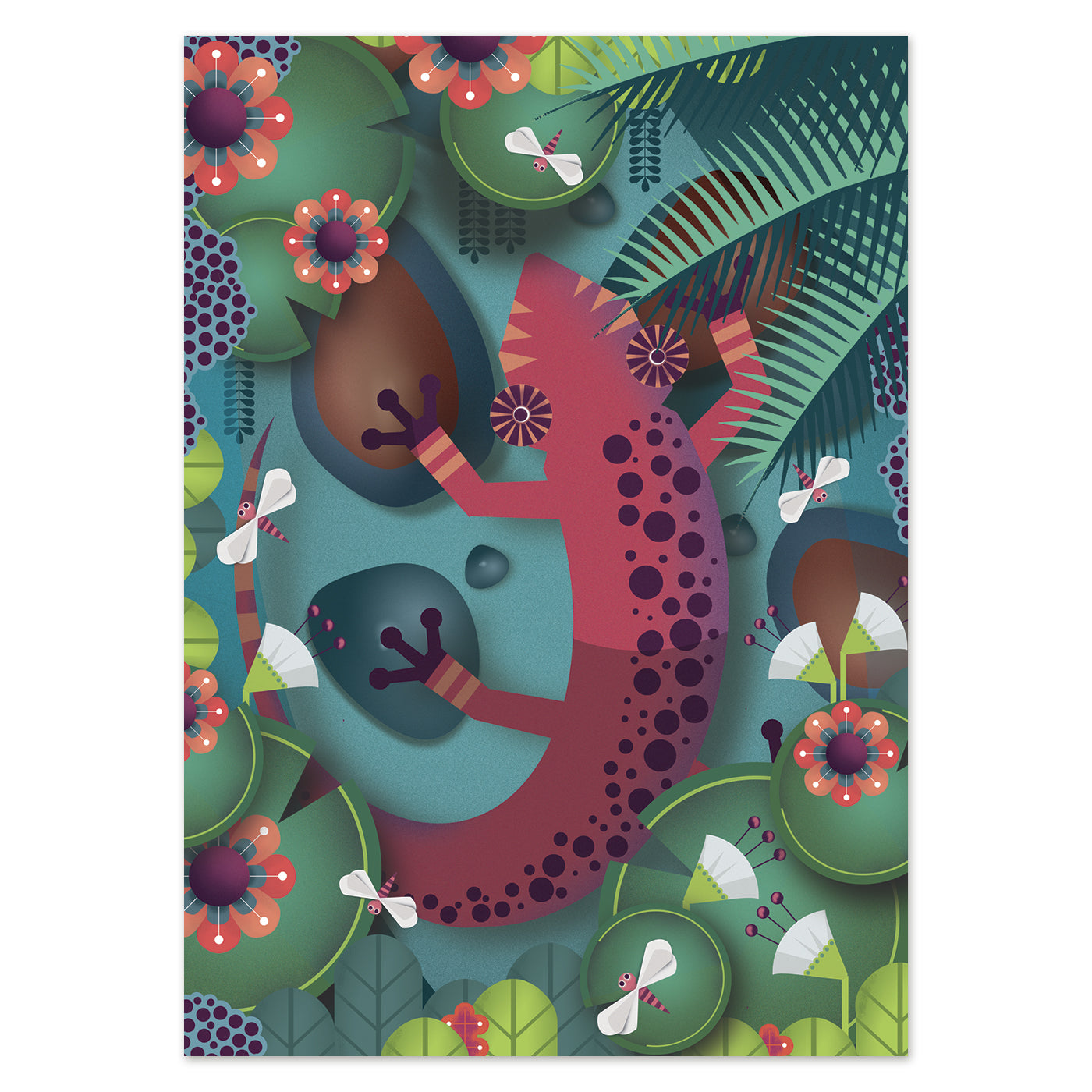 buy postcard salamander illustration studio Frits