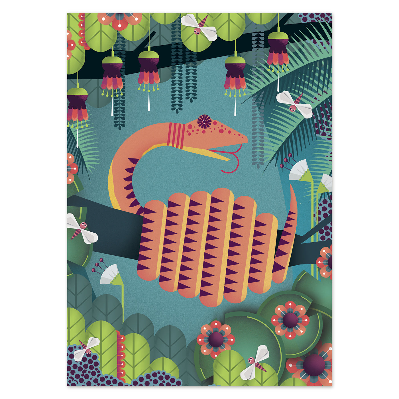 buy postcard snake illustration studio Frits