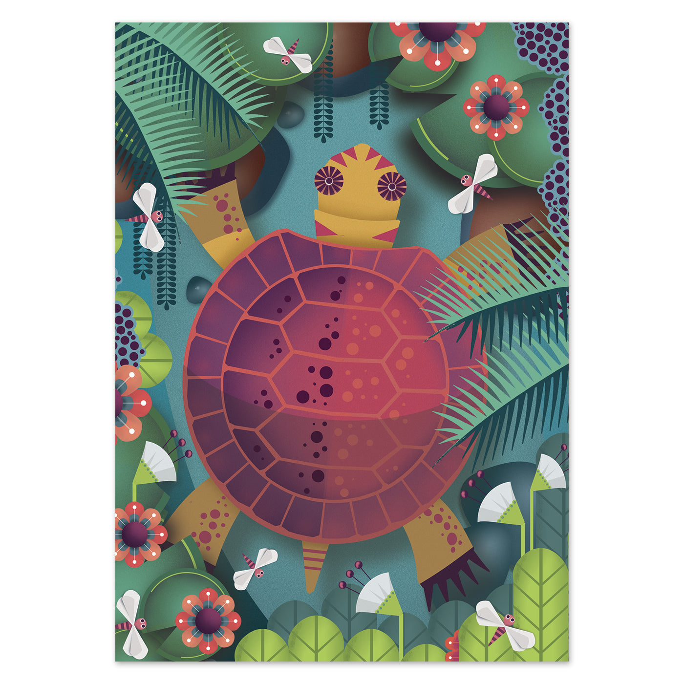 buy postcard turtle illustration studio Frits