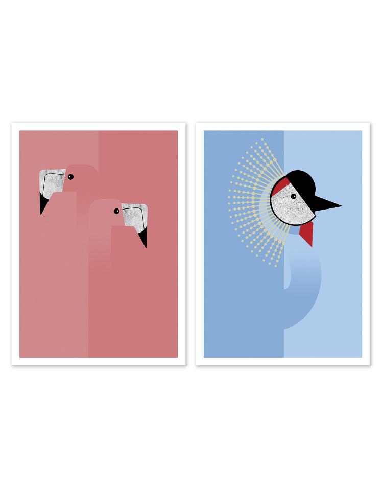 buy postcard birds illustration studio Frits