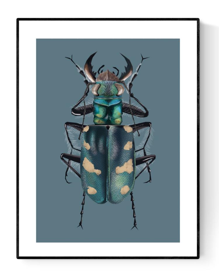 buy dune tiger beetle illustration by Studio Frits