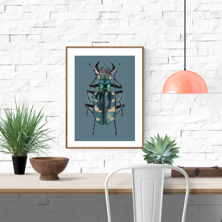 buy dune tiger beetle artprint by Studio Frits