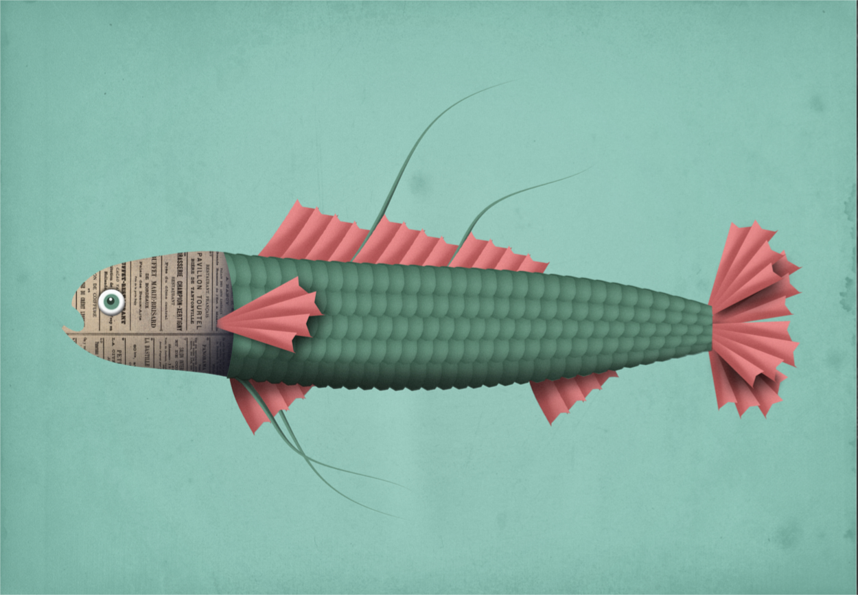Colorful illustration of a whimsical fish with a newspaper-textured head and pink fins by Studio Frits, modern ocean-themed wall art print, 21 x 29.7 cm, made in Belgium.