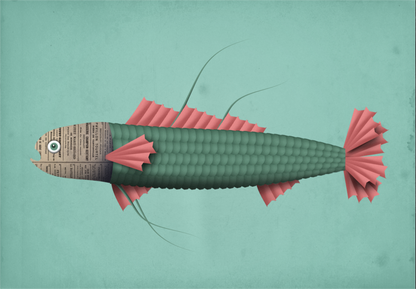 Colorful illustration of a whimsical fish with a newspaper-textured head and pink fins by Studio Frits, modern ocean-themed wall art print, 21 x 29.7 cm, made in Belgium.