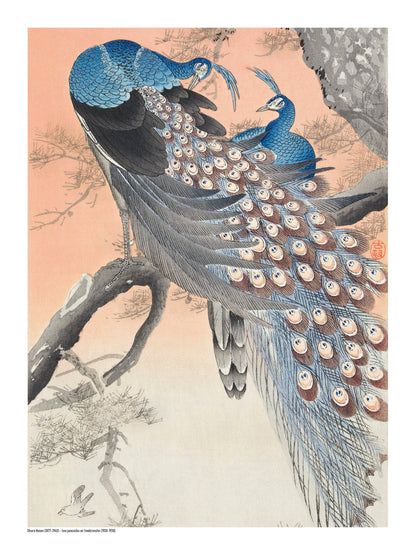 Two blue peacocks perched on a pine tree branch in a vintage Japanese woodblock style by Ohara Koson, with peach, grey and cream tones. Vertical digital art print for elegant wall decor.