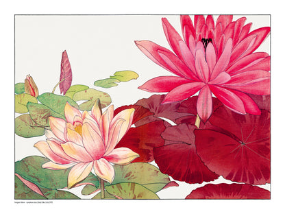 Nymphaea Lotus by Tanigami Konan, horizontal Japanese botanical illustration of large red and pale pink water lilies with green leaves, reproduced as a digital print for colourful floral wall decor.