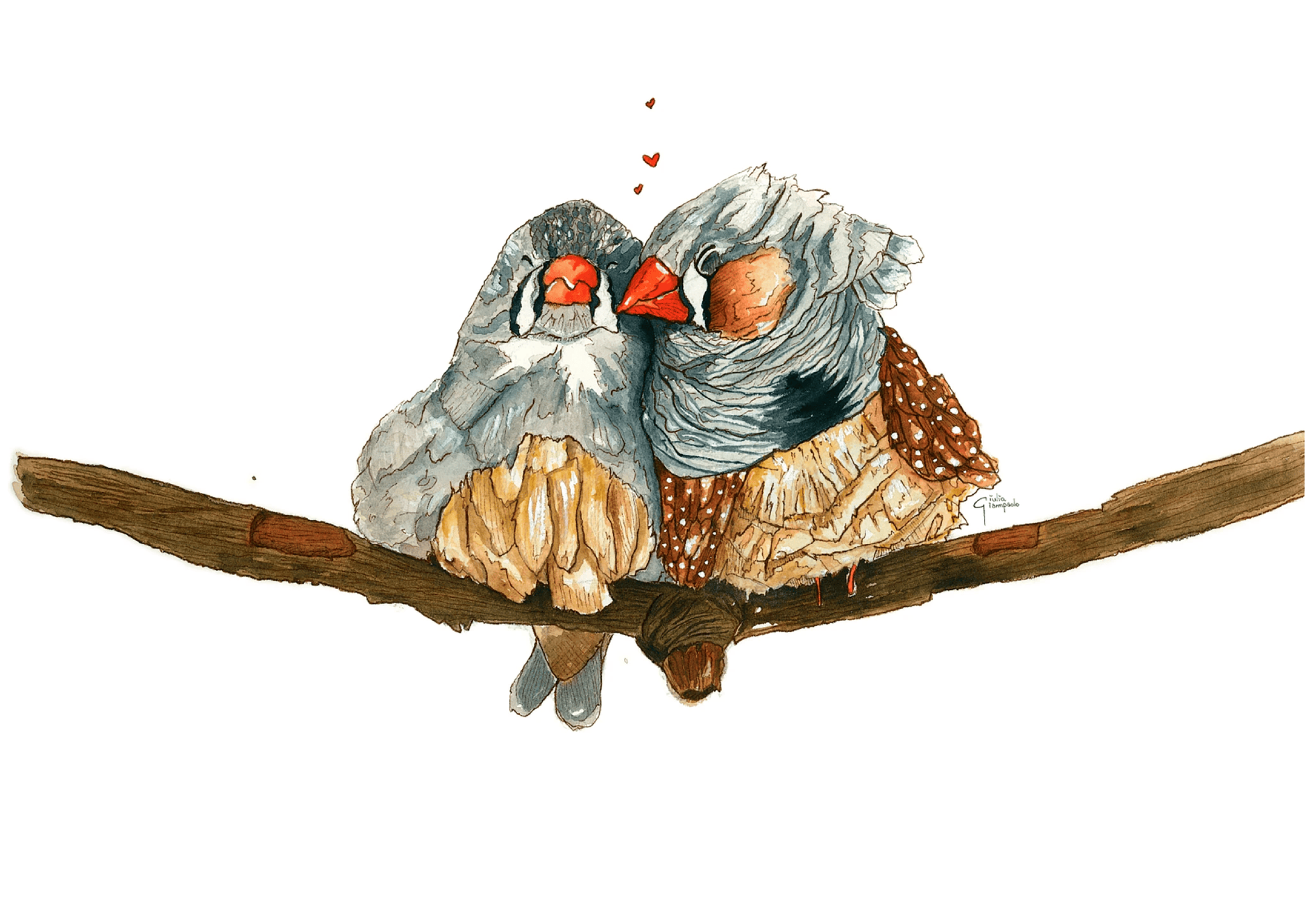 Watercolor illustration of two mandarin diamond finches sitting close together on a branch, symbolizing love and tenderness, soft neutral tones, poetic nature art print by Giu, A3 contemporary wall art.